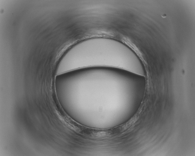 X0000072520058200607140947