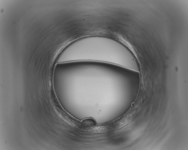 X0000072520059200607140947