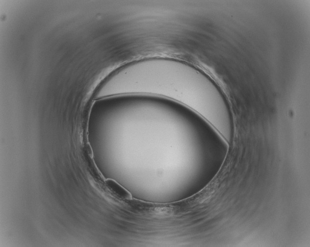 X0000072520060200607140947