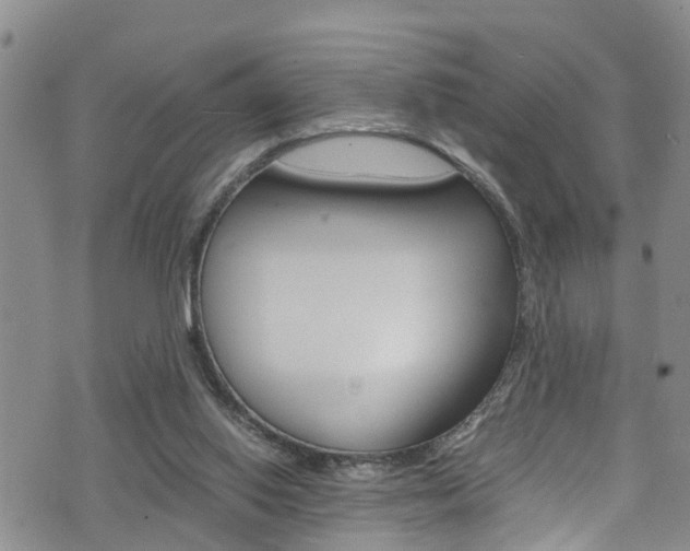 X0000072520062200607140948