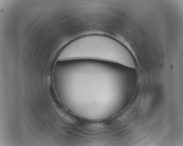 X0000072520063200607140948