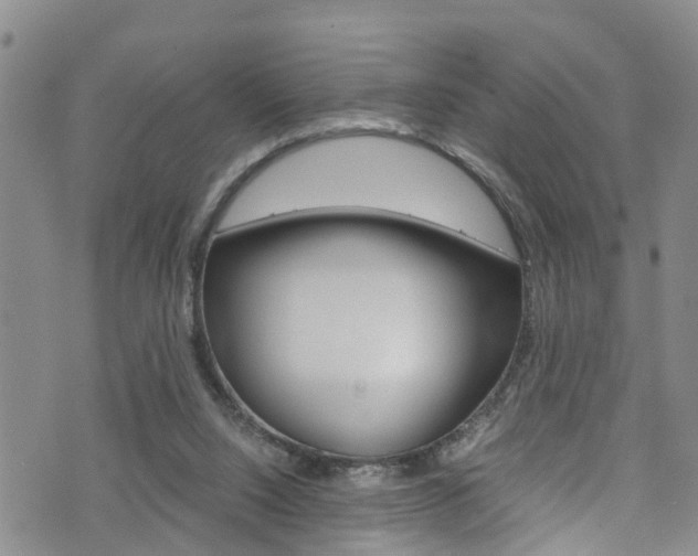 X0000072520064200607140948