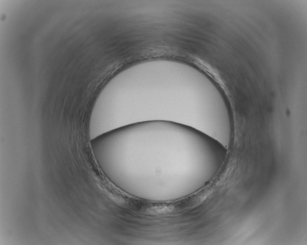 X0000072520065200607140948