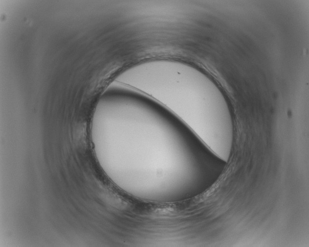 X0000072520066200607140948