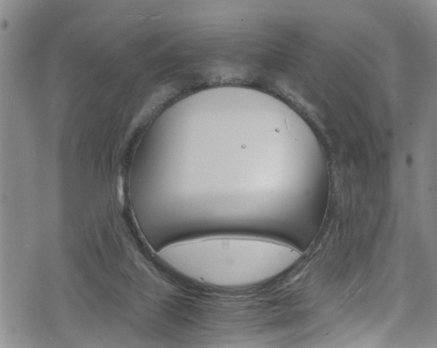 X0000072520067200607140948