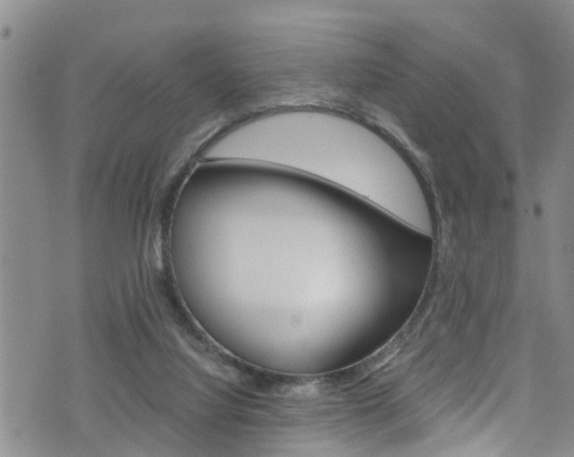 X0000072520068200607140948