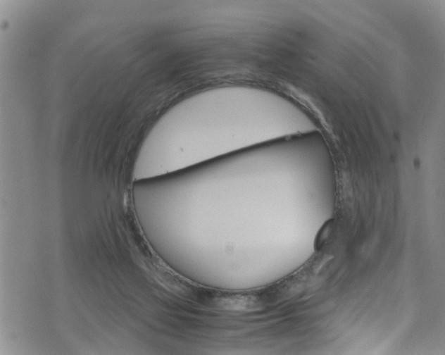 X0000072520069200607140948