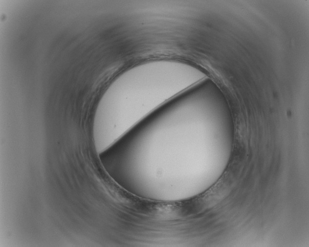 X0000072520070200607140948