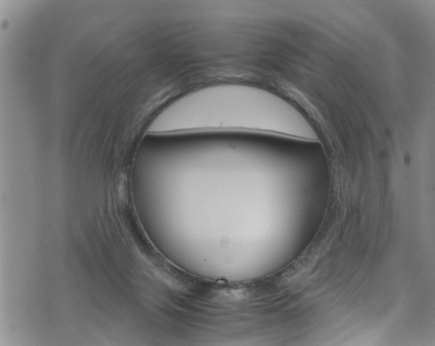 X0000072520071200607140948