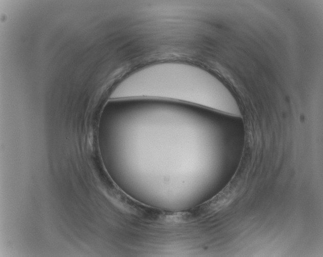 X0000072520072200607140948