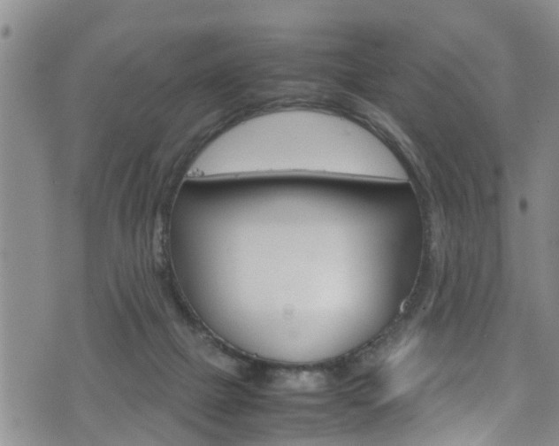 X0000072520073200607140948