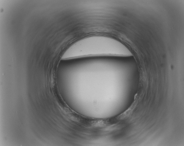 X0000072520074200607140948