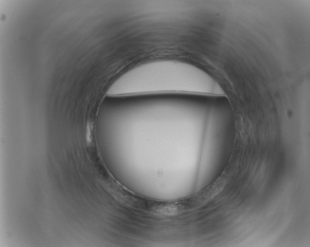 X0000072520075200607140948