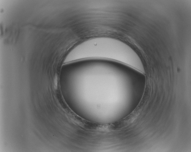 X0000072520076200607140948