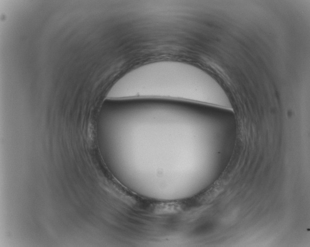 X0000072520077200607140948