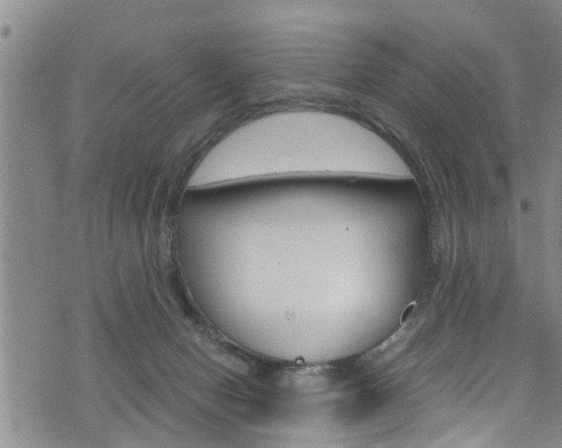 X0000072520078200607140948