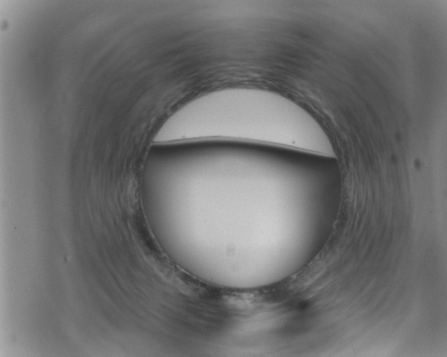 X0000072520079200607140948