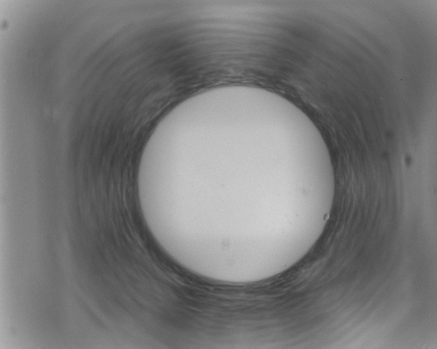 X0000072520080200607140948