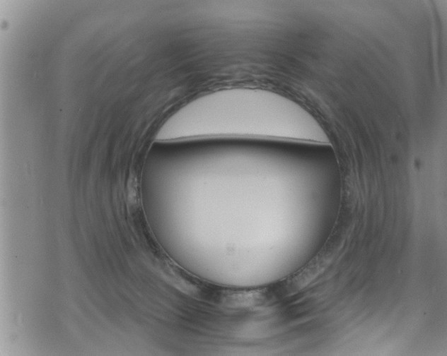 X0000072520081200607140948