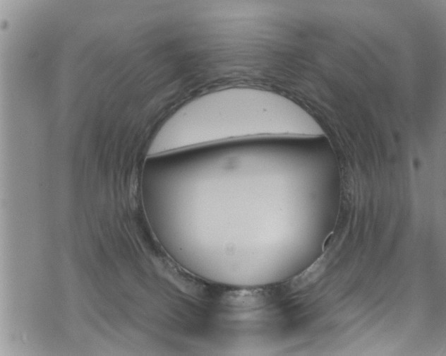 X0000072520082200607140948