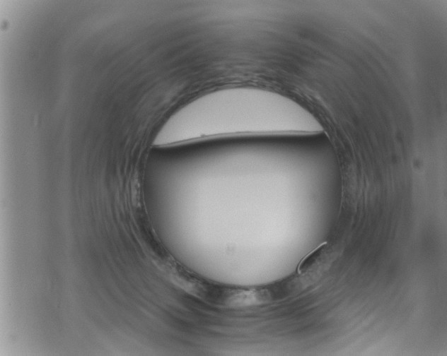 X0000072520083200607140948