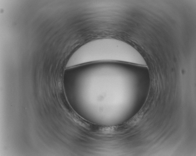 X0000072520084200607140948