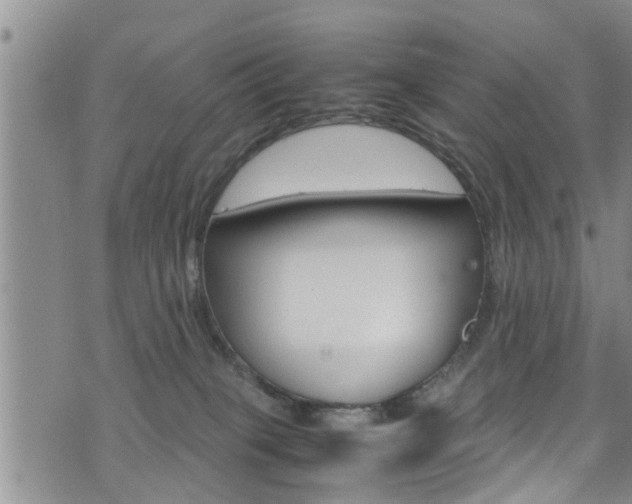 X0000072520085200607140948