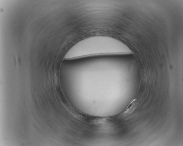 X0000072520086200607140948