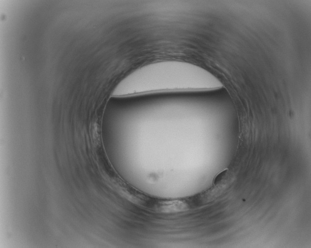 X0000072520087200607140948