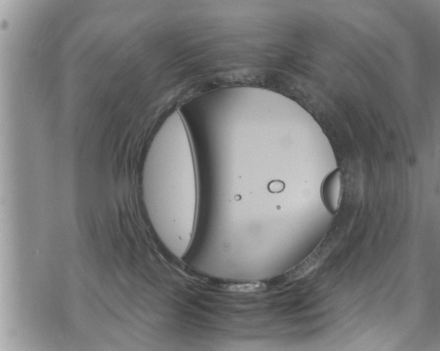 X0000072520089200607140948