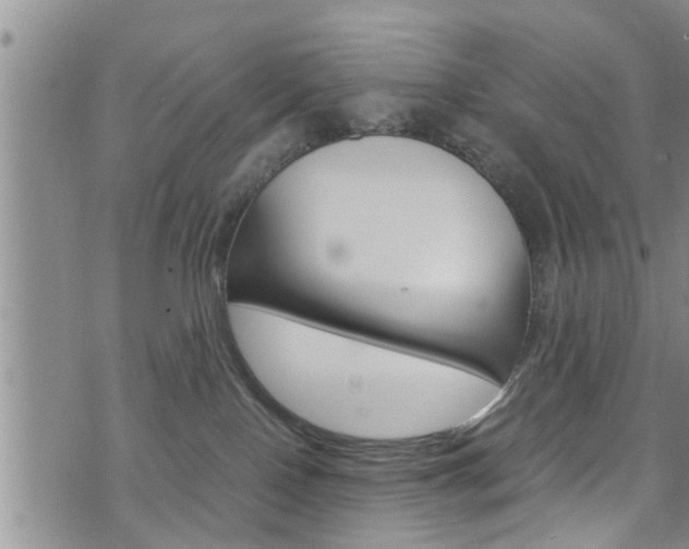 X0000072520090200607140948