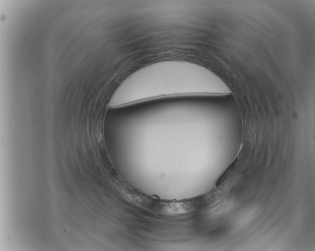 X0000072520091200607140948