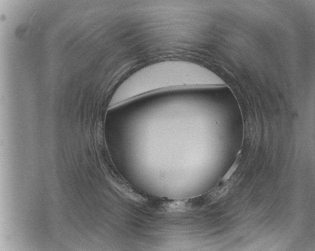 X0000072520092200607140948