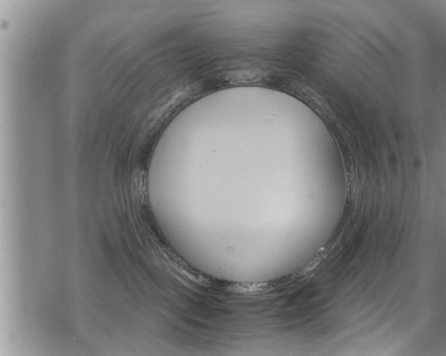 X0000072520093200607140948