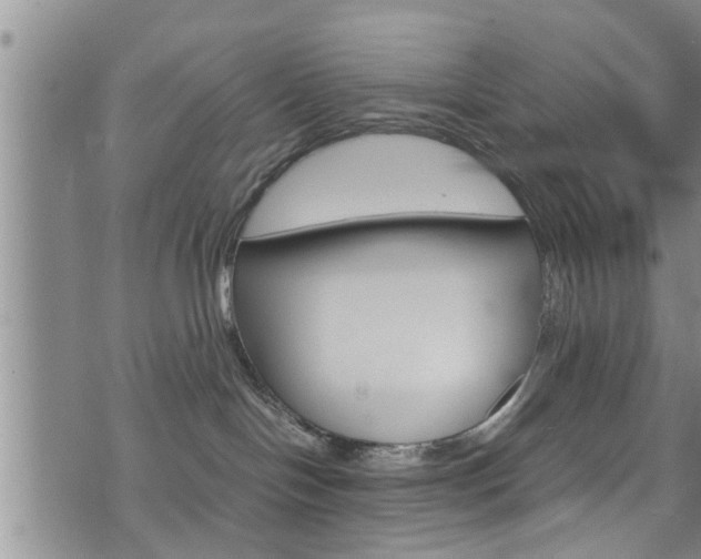 X0000072520094200607140948