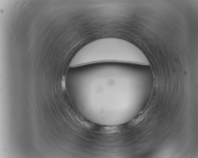 X0000072520095200607140948