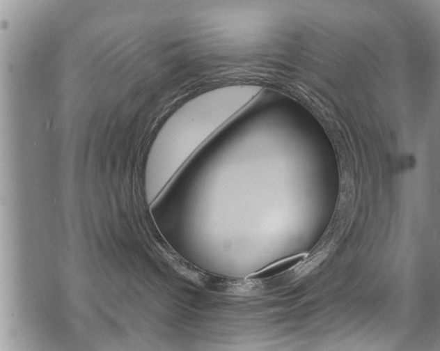 X0000072520096200607140948