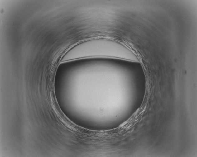 X0000072520097200607140947