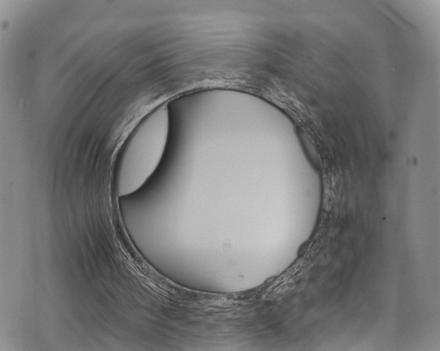 X0000072520098200607140947