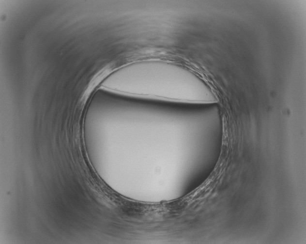 X0000072520099200607140947