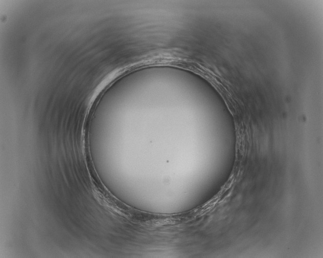 X0000072520100200607140947