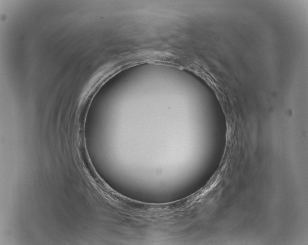 X0000072520101200607140947