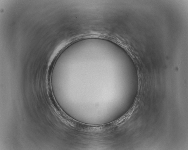 X0000072520102200607140947