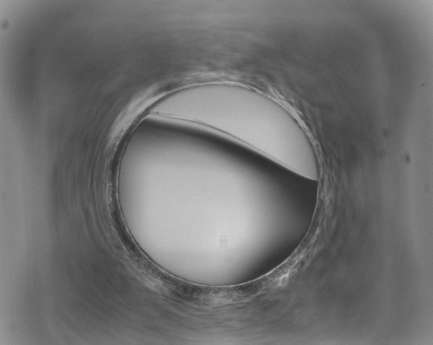 X0000072520103200607140947