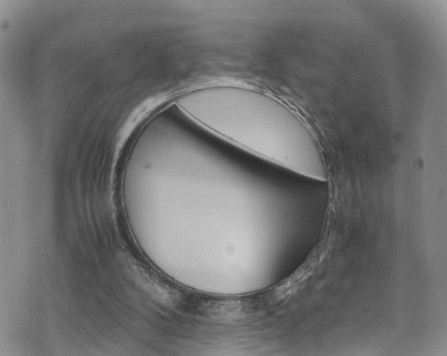 X0000072520104200607140947