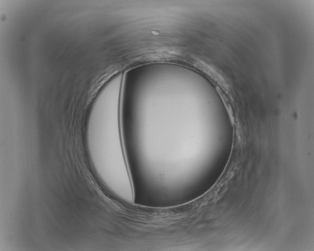 X0000072520105200607140947