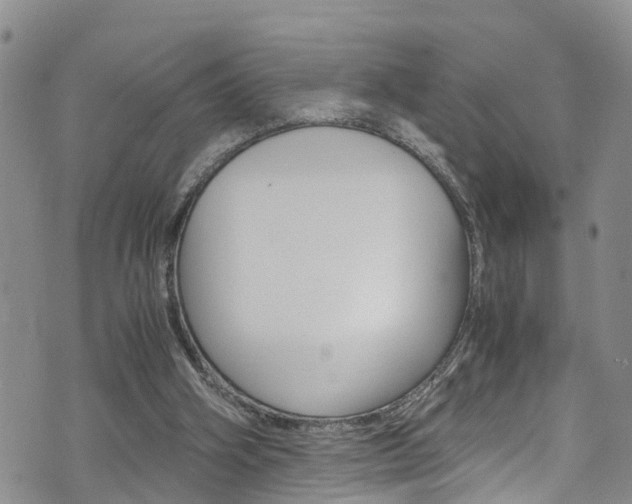 X0000072520106200607140947