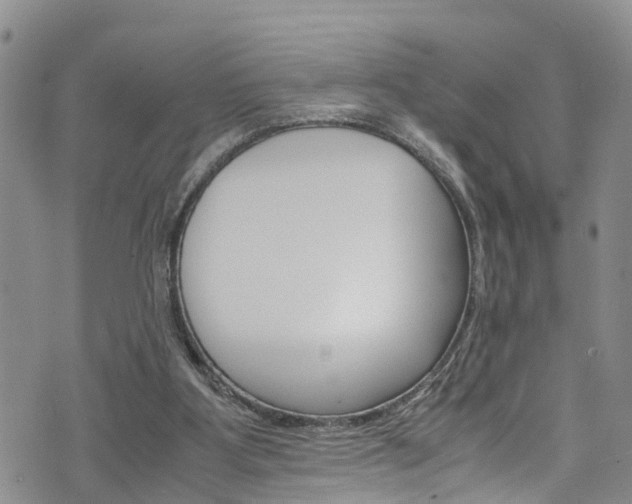 X0000072520107200607140947