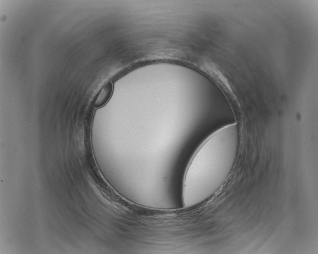 X0000072520108200607140947