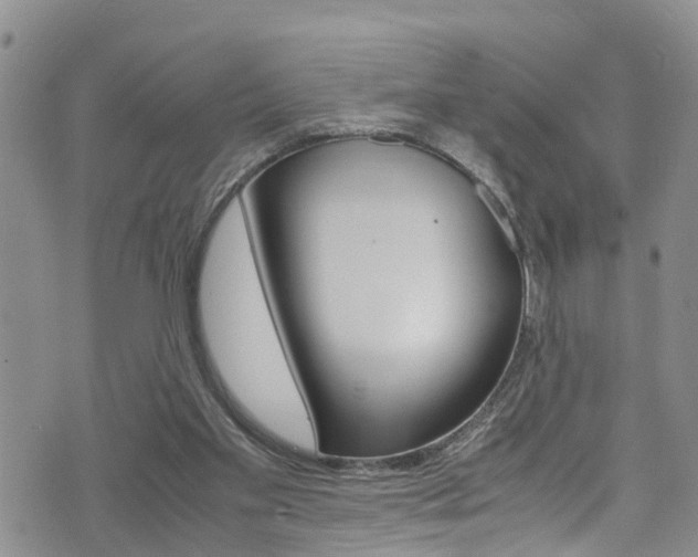 X0000072520109200607140947